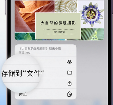 大祥apple维修中心分享iPhone文件应用中存储和找到下载文件