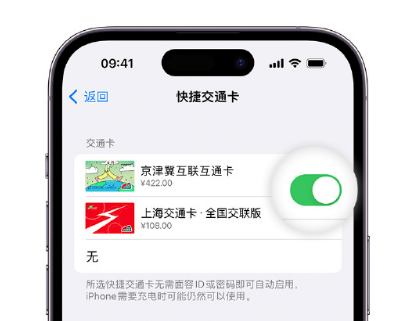 大祥apple维修点分享iPhone上更换Apple Pay快捷交通卡手绘卡面 