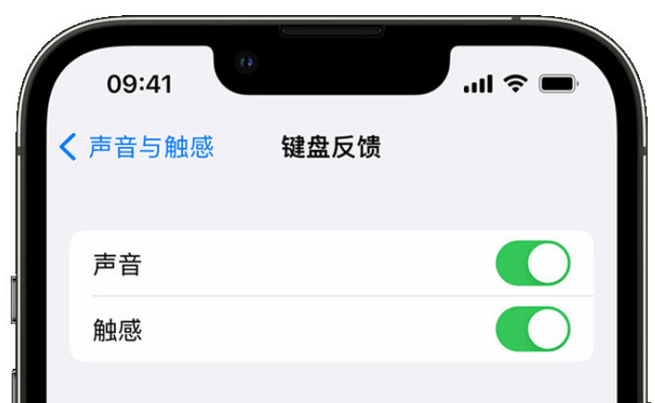 大祥苹果手机维修分享iPhone 14触感键盘使用方法 