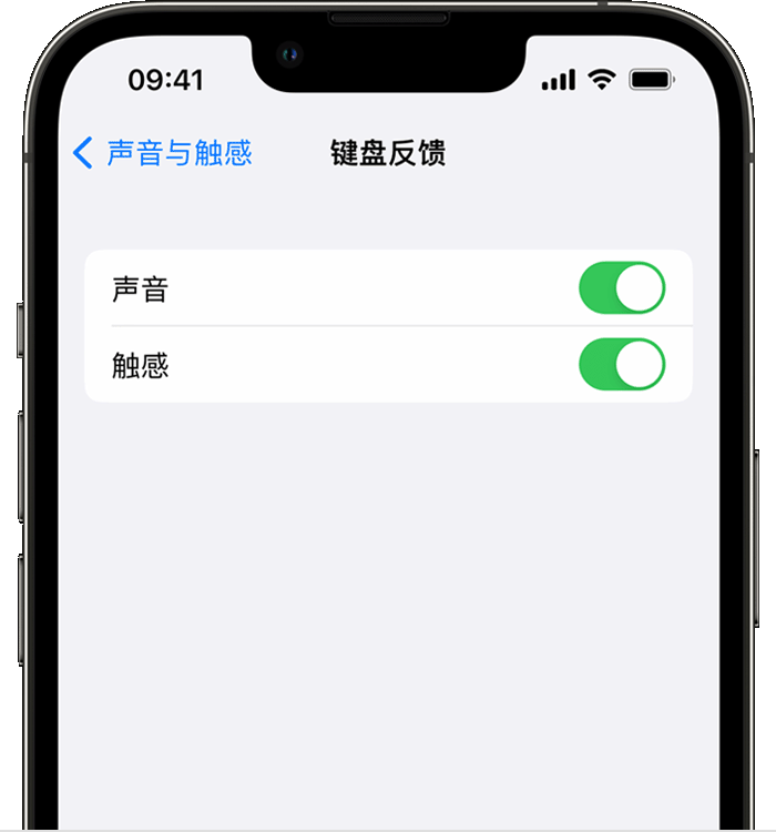 大祥苹果14维修分享iPhone 14 系列机型如何开启键盘声音或触感反馈 