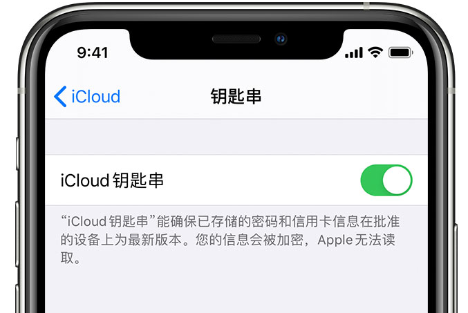 大祥苹果手机维修分享在 iPhone 上开启 iCloud 钥匙串之后会储存哪些信息 