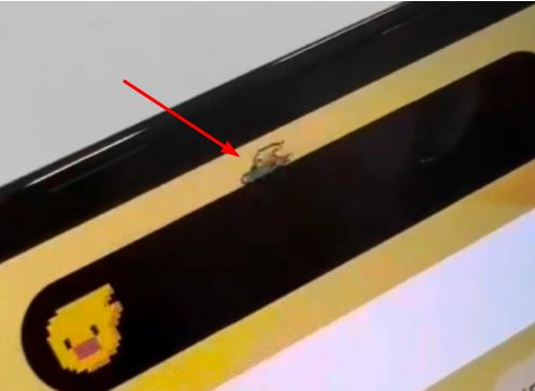 大祥苹果14维修分享iPhone 14 Pro Max灵动岛怎么养宠物 