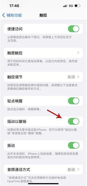 大祥苹果手机维修分享iPhone手机如何设置摇一摇删除文字 