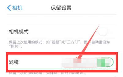大祥苹果13维修分享iPhone13拍照有绿点是怎么回事 