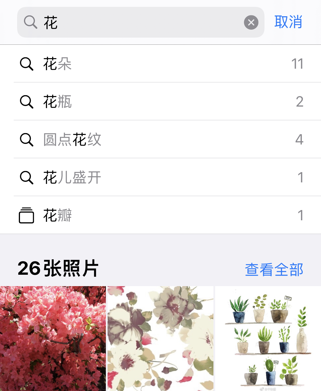 大祥苹果手机维修分享iPhone 小技巧 