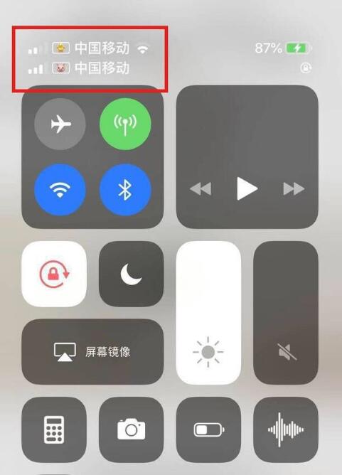 大祥苹果手机维修分享为 iPhone 12 双卡设置标签 