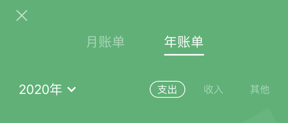 大祥苹果手机维修分享如何在 iPhone 上查看支付宝和微信年支出账单 